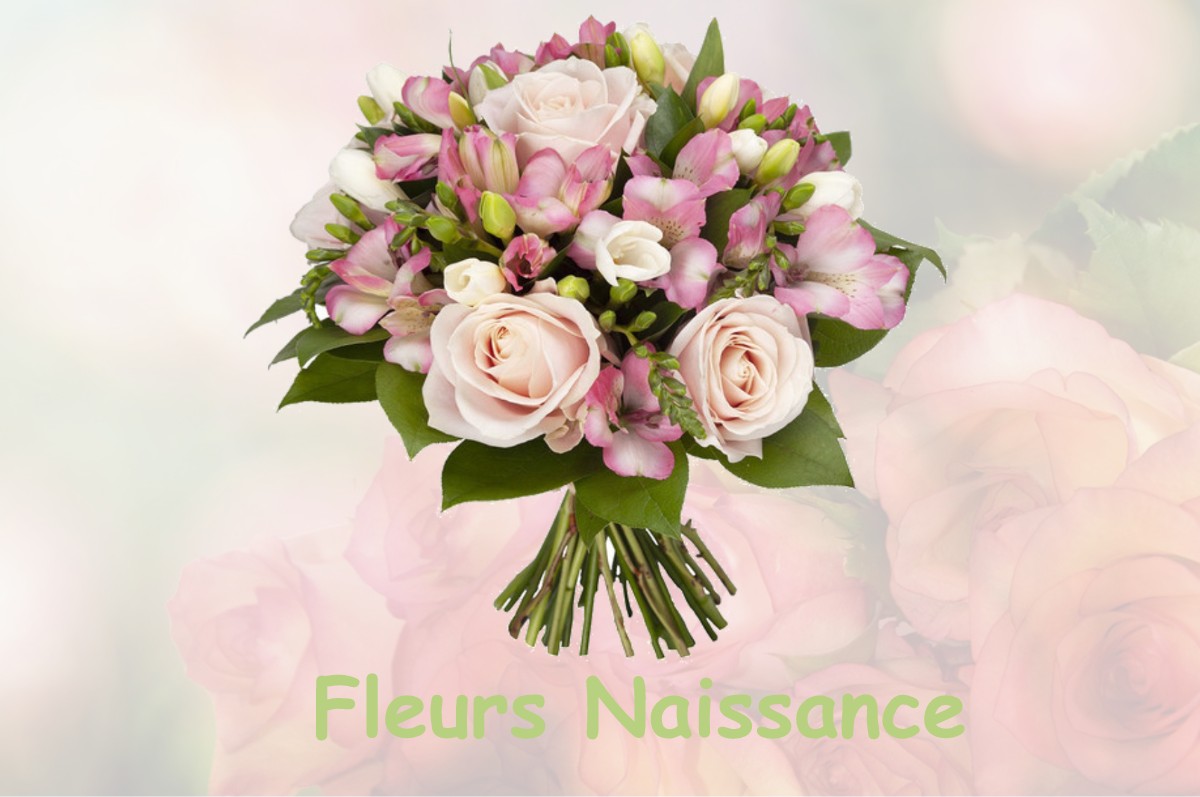 fleurs naissance SAULT-DE-NAVAILLES